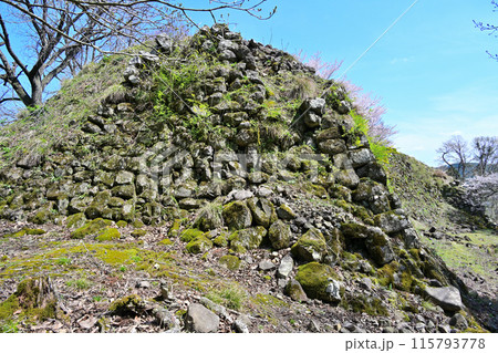 八木城 (但馬国)　登城道と残石垣 115793778