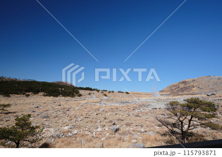 えびの高原の広大な大自然 えびの高原の広大な大自然 115793871