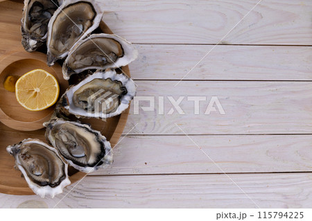 plate of fresh raw oysters isolated on white background, top view plate of fresh raw oysters isolated on white background, top view 115794225