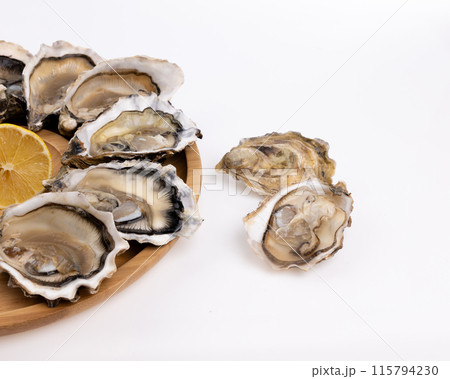 plate of fresh raw oysters isolated on white background, top view plate of fresh raw oysters isolated on white background, top view 115794230