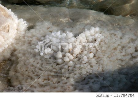 Crystallized salt rocks along the shores of the Dead Sea, Israel Crystallized salt rocks along the shores of the Dead Sea, Israel 115794704