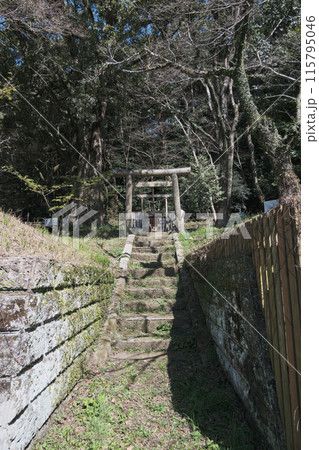 通路の奥に立つ御神木 115795046