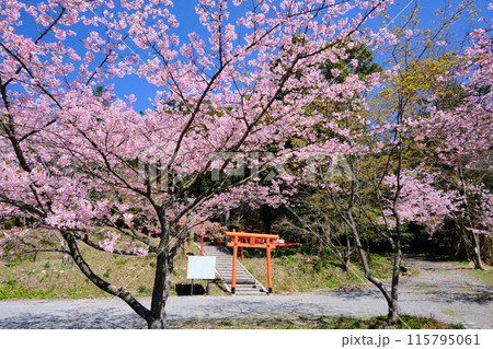 春の精矛神社 115795061