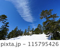 雪に覆われた木々と青い空 115795426