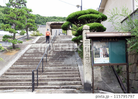 尾道散策 持光寺（広島県 尾道市） 115795797