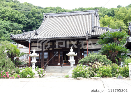 尾道散策 持光寺 本堂（広島県 尾道市） 115795801