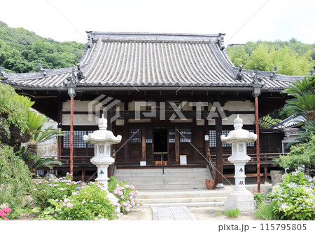 尾道散策 持光寺 本堂（広島県 尾道市） 115795805