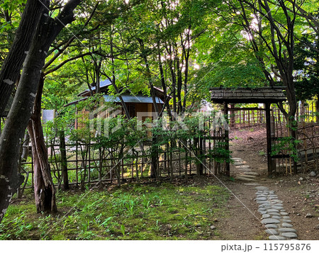 八窓庵 2024年6月 八窓庵 2024年6月 115795876