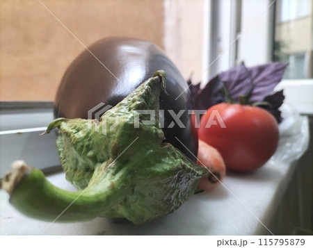 The fruits of agricultural labor lie on a white marble windowsill, eggplant, carrots, tomatoes, leaves of purple basil in the form of vegetables. The fruits of agricultural labor lie on a white marble windowsill, eggplant, carrots, tomatoes, leaves of purple basil in the form of vegetables. 115795879