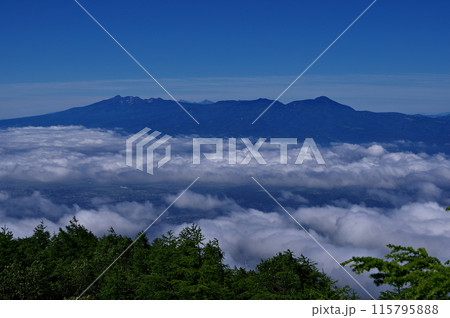 浅間連峰の中の高峰山から見る八ヶ岳連峰 浅間連峰の中の高峰山から見る八ヶ岳連峰 115795888