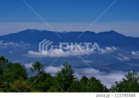浅間連峰の中の高峰山から見る八ヶ岳連峰 115795889