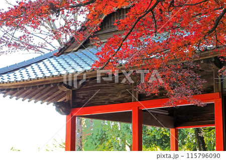 箭弓稲荷神社の神楽殿【埼玉県東松山市】 115796090