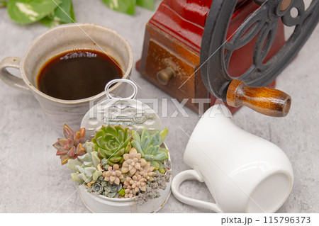 コーヒーブレイクイメージ 多肉植物のリメ缶寄せ植えとレトロなコーヒーミル コーヒーブレイクイメージ 多肉植物のリメ缶寄せ植えとレトロなコーヒーミル 115796373