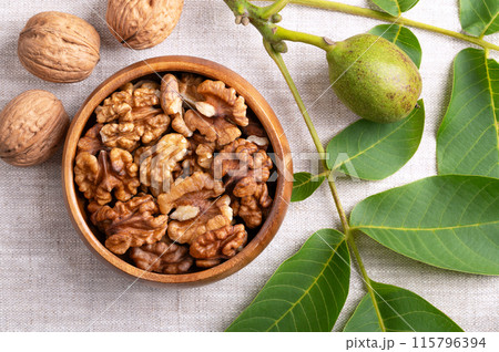 Walnut halves in a wooden bowl on linen fabric. Shelled, dried walnut kernels, ripe seeds of the common walnut tree. With dried nuts in their shells, and a tree branch with unripe nut in green husk. Walnut halves in a wooden bowl on linen fabric. Shelled, dried walnut kernels, ripe seeds of the common walnut tree. With dried nuts in their shells, and a tree branch with unripe nut in green husk. 115796394