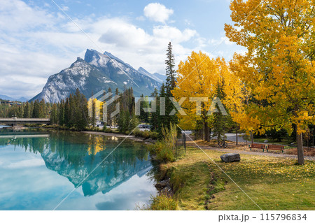 Banff Central Park Trail scenery reflected on Bow River in autumn. Mount Rundle Mountain Range in the background. Banff National Park, Alberta, Canada. 115796834