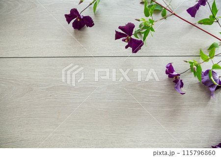 branch of blooming purple clematis, on a light wooden table 115796860