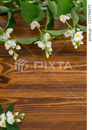 wooden dark background with white jasmine flowers 115796875