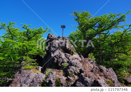 浅間連峰の中の高峰山の山頂の様子 115797346