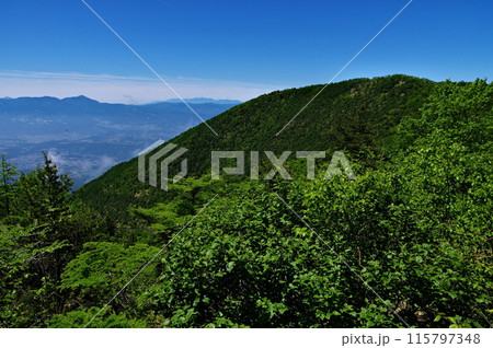 登山道から見る浅間連峰の中の高峰山 115797348
