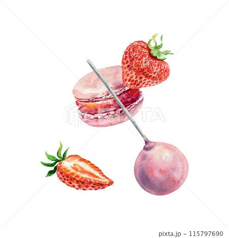Macaron and strawberries, cake pops, watercolor. Vector. Greeting cards, invitations, menus for cafes, bakeries, confectioneries, posters, banners. 115797690