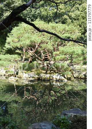 平安神宮神苑 西神苑 平安神宮神苑 西神苑 115797779