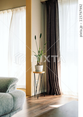 観葉植物がある部屋の風景 観葉植物がある部屋の風景 115797992