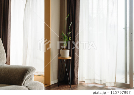 観葉植物がある部屋の風景 115797997