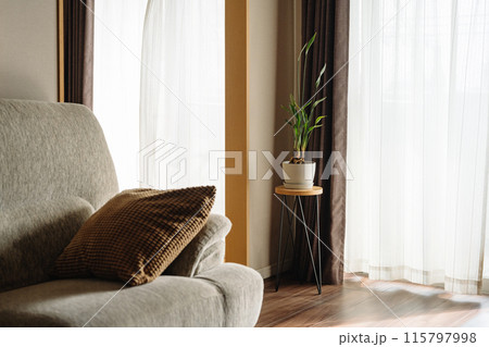 観葉植物がある部屋の風景 観葉植物がある部屋の風景 115797998