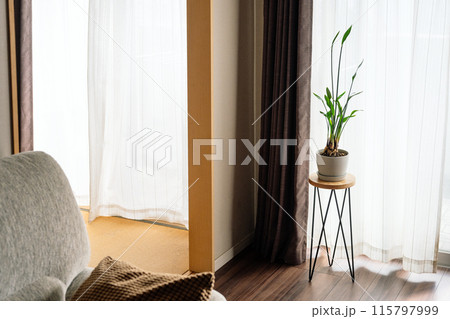 観葉植物がある部屋の風景 115797999