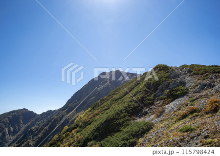 登山道から望む北岳 山梨県南アルプス市 登山道から望む北岳 山梨県南アルプス市 115798424