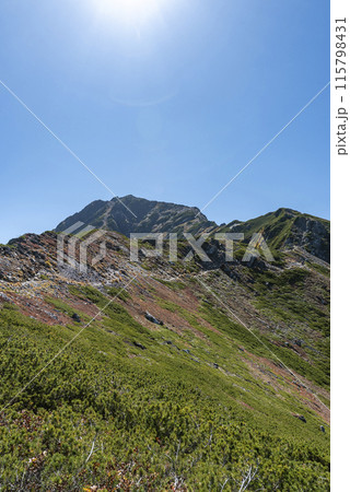 登山道から望む北岳 山梨県南アルプス市 登山道から望む北岳 山梨県南アルプス市 115798431