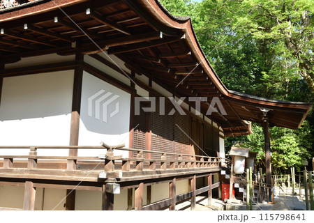 拝殿　宇治上神社【世界文化遺産】 115798641