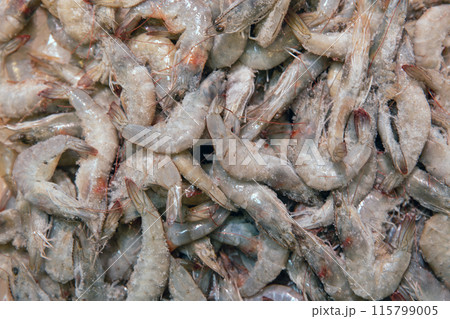 fresh raw shrimps closeup background 115799005