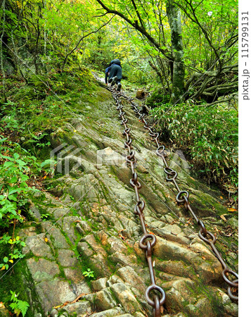 石鎚山・鎖場を登る登山者 石鎚山・鎖場を登る登山者 115799131