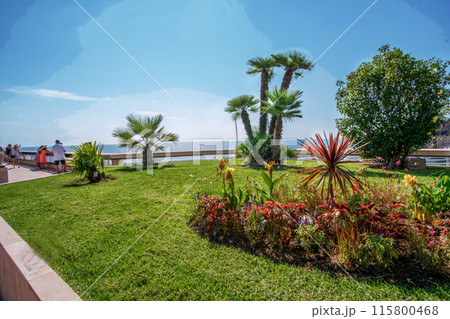Amazing coastline with garden (maybe roof garden) in  Monte Carlo (Monaco) 115800468