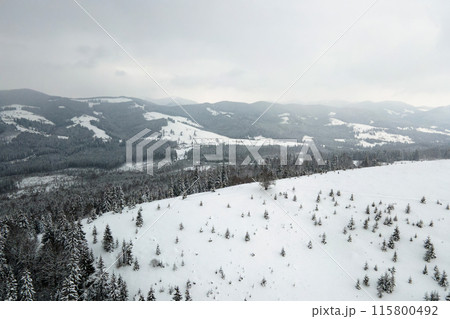Aerial view of winter landscape with mountain hills covered with evergreen pine forest after heavy snowfall on cold quiet evening. 115800492