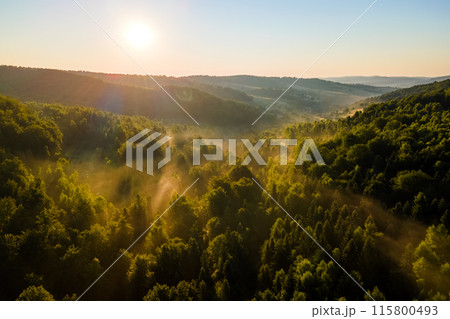 Aerial view of bright foggy morning over dark forest trees at warm summer sunrise. Beautiful scenery of wild woodland at dawn. 115800493