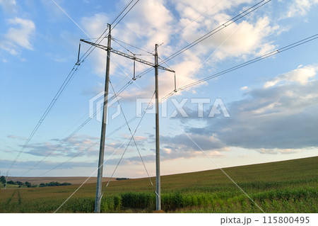 High voltage tower with electric power lines between green agricultural fields. Transfer of electricity concept. High voltage tower with electric power lines between green agricultural fields. Transfer of electricity concept. 115800495