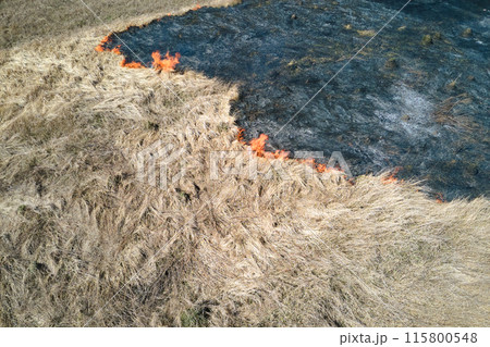 Aerial view of grassland field burning with red fire during dry season. Natural disaster and climate change concept 115800548