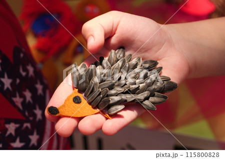 Childs hand holding sunflower seed hedgehog craft 115800828
