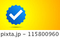 Blue verification mark on yellow background, vector banner with copy space. 115800960