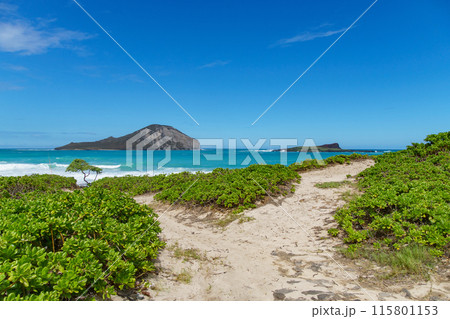 The path goes towards the sea, showcasing a distant isle 115801153