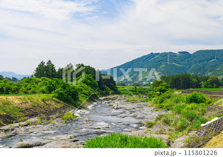 静岡県・初夏の富士宮市(柚野)の田舎風景 静岡県・初夏の富士宮市(柚野)の田舎風景 115801226