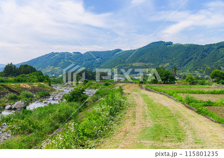 静岡県・初夏の富士宮市(柚野)の田舎風景 静岡県・初夏の富士宮市(柚野)の田舎風景 115801235