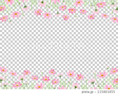 水彩で描いたコスモスのフレーム 水彩で描いたコスモスのフレーム 115801855