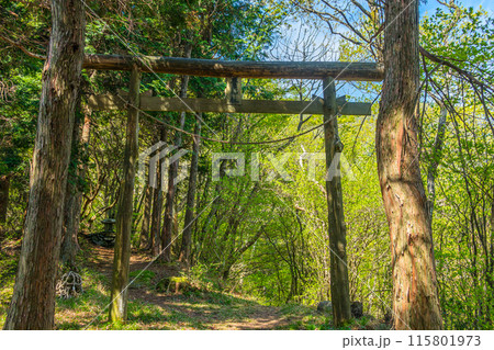 豊受神社を祀る、豊受山へと続く登山道の風景（愛媛県四国中央市富郷町）※作品コメント欄に撮影位置 115801973