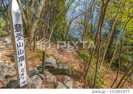 豊受神社を祀る、豊受山の山頂(愛媛県四国中央市富郷町)※作品コメント欄に撮影位置 豊受神社を祀る、豊受山の山頂(愛媛県四国中央市富郷町)※作品コメント欄に撮影位置 115801977