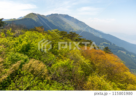 鋸山の山頂から、豊受山を見る!(愛媛県四国中央市富郷町)※作品コメント欄に撮影位置 鋸山の山頂から、豊受山を見る!(愛媛県四国中央市富郷町)※作品コメント欄に撮影位置 115801980