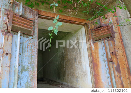 対馬（長崎県）の豆酘崎砲台跡：弾薬庫入口の気密式金属鉄扉 115802102