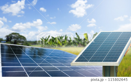 Solar panels set against a backdrop of trees and a vibrant blue sky. Solar panels set against a backdrop of trees and a vibrant blue sky. 115802645